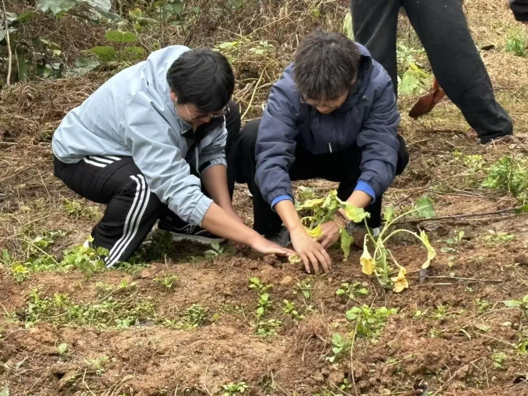 躬身垄亩间,耕读育新人:国际交流学院开展劳动实践课 躬身垄亩间,耕读育新人:国际交流学院开展劳动实践课